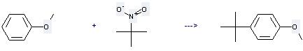 Benzene,1-(1,1-dimethylethyl)-4-methoxy- can be prepared by methoxybenzene and 2-methyl-2-nitro-propane
